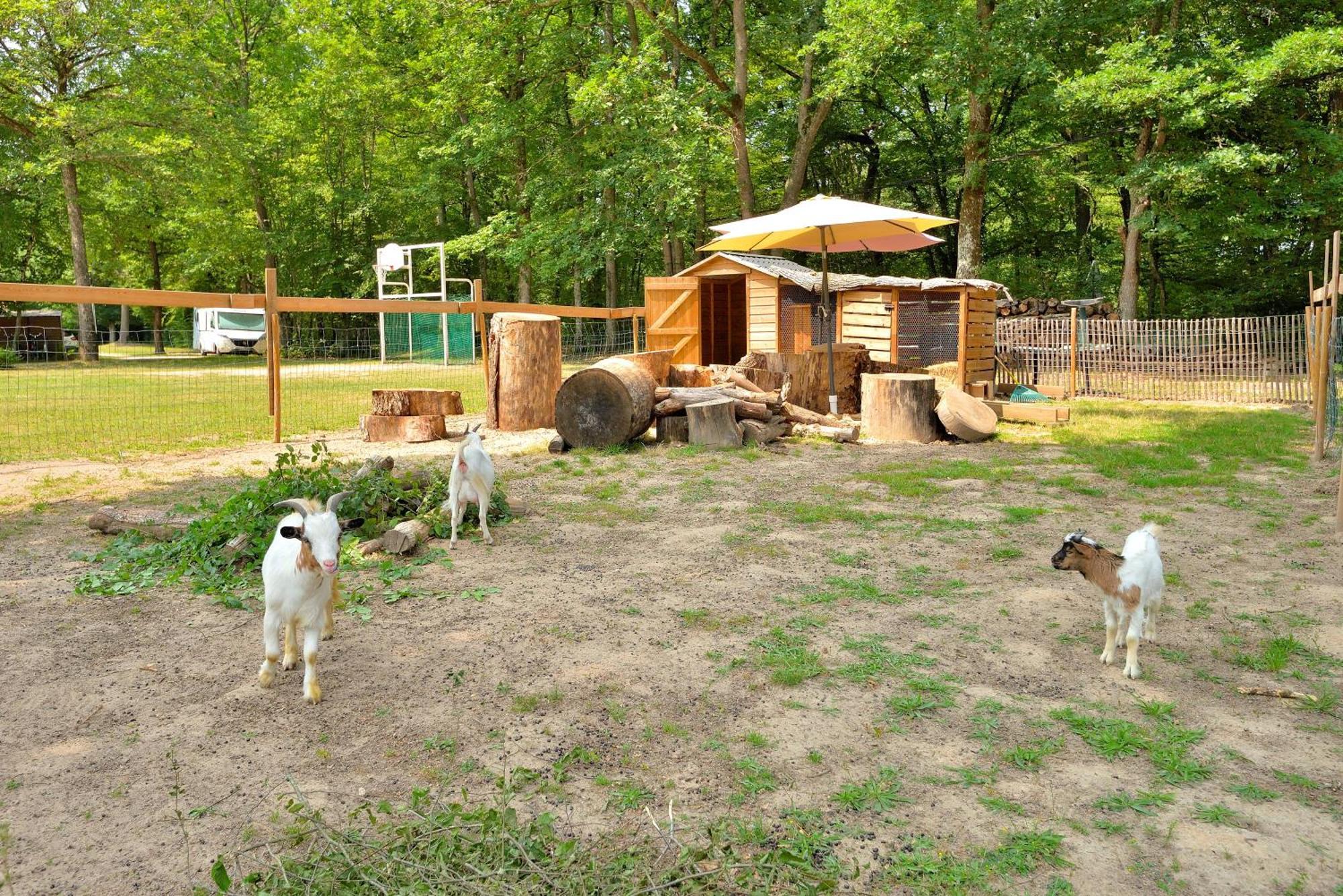 Camping Etang De La Vallee Combreux Exterior photo